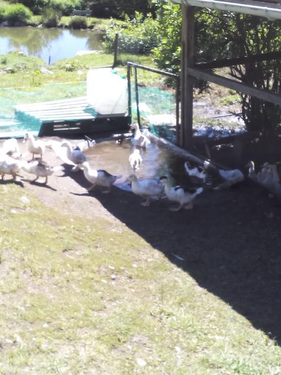 Ferdrupt Ferme Auberge A La Colline المظهر الخارجي الصورة