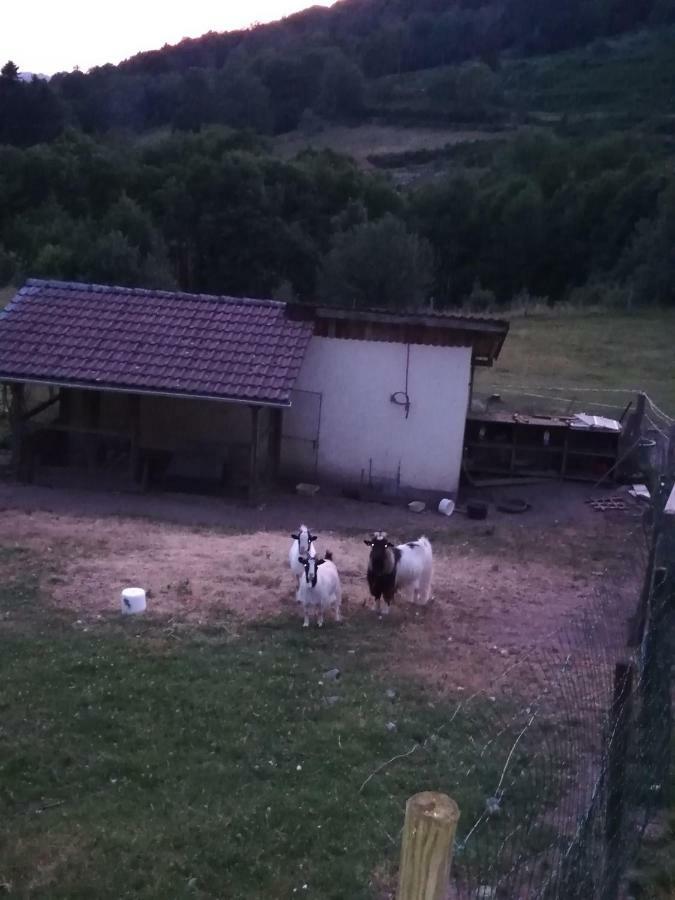 Ferdrupt Ferme Auberge A La Colline المظهر الخارجي الصورة